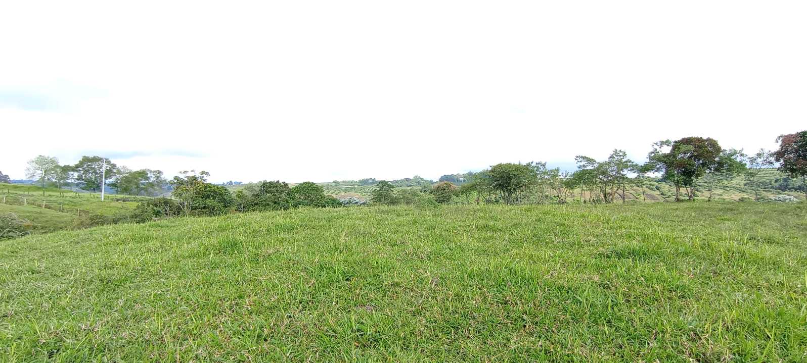 SE VENDE LOTE EN ZONA RESIDENCIAL CIRCASIA QUINDÍO