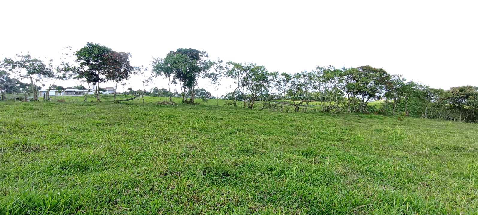 SE VENDE LOTE EN ZONA RESIDENCIAL CIRCASIA QUINDÍO