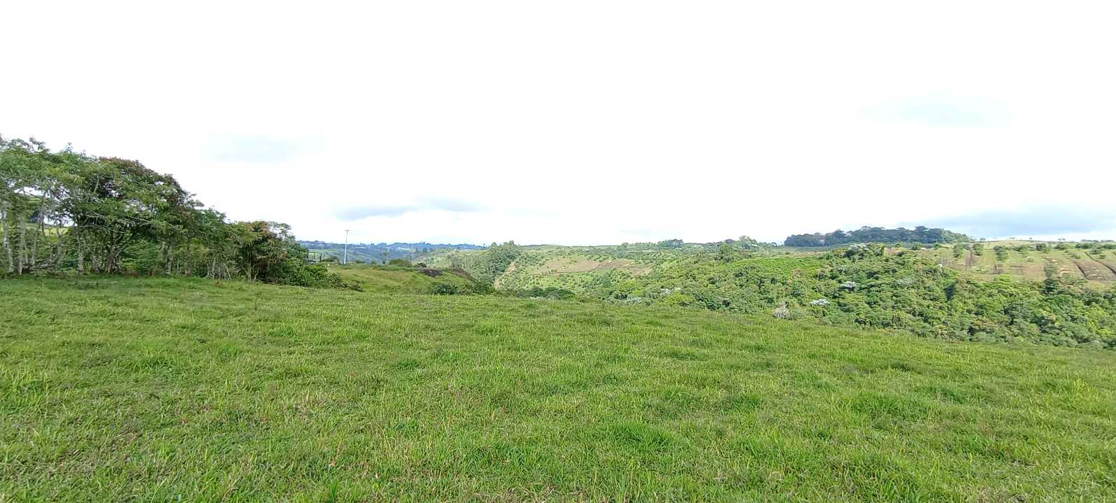 SE VENDE LOTE EN ZONA RESIDENCIAL CIRCASIA QUINDÍO