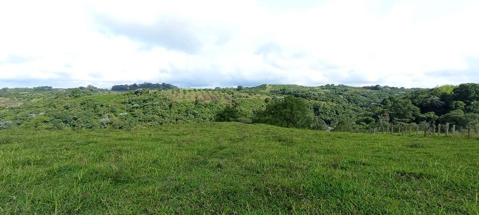 SE VENDE LOTE EN ZONA RESIDENCIAL CIRCASIA QUINDÍO