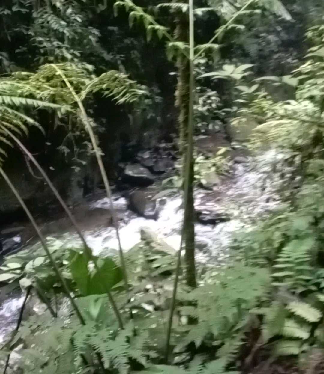 SE VENDE LOTE EN ZONA RESIDENCIAL CIRCASIA QUINDÍO