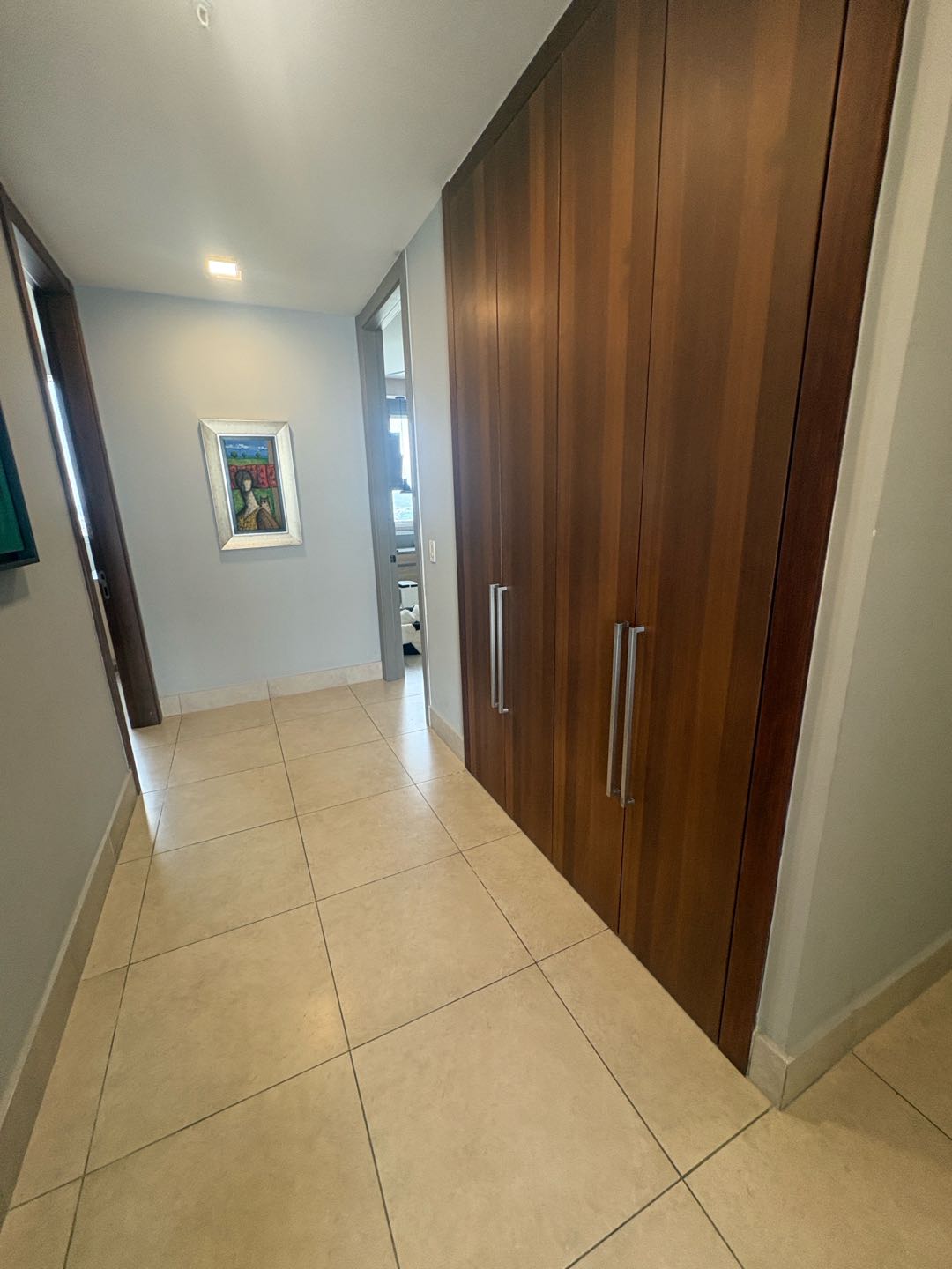 Se Vende PH Acqua 1 en Costa del Este
