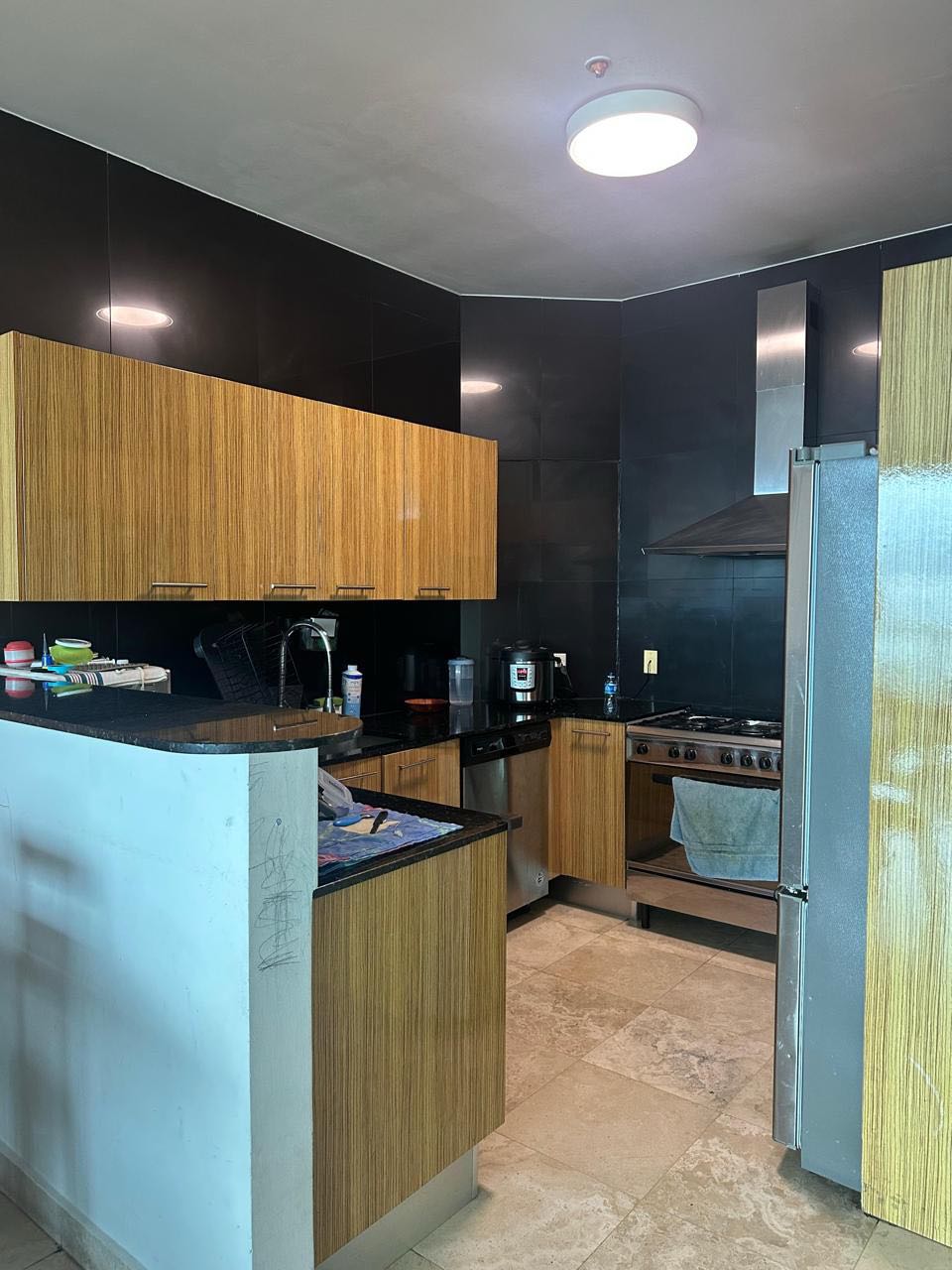 Se Vende PH Sky Avenida Balboa