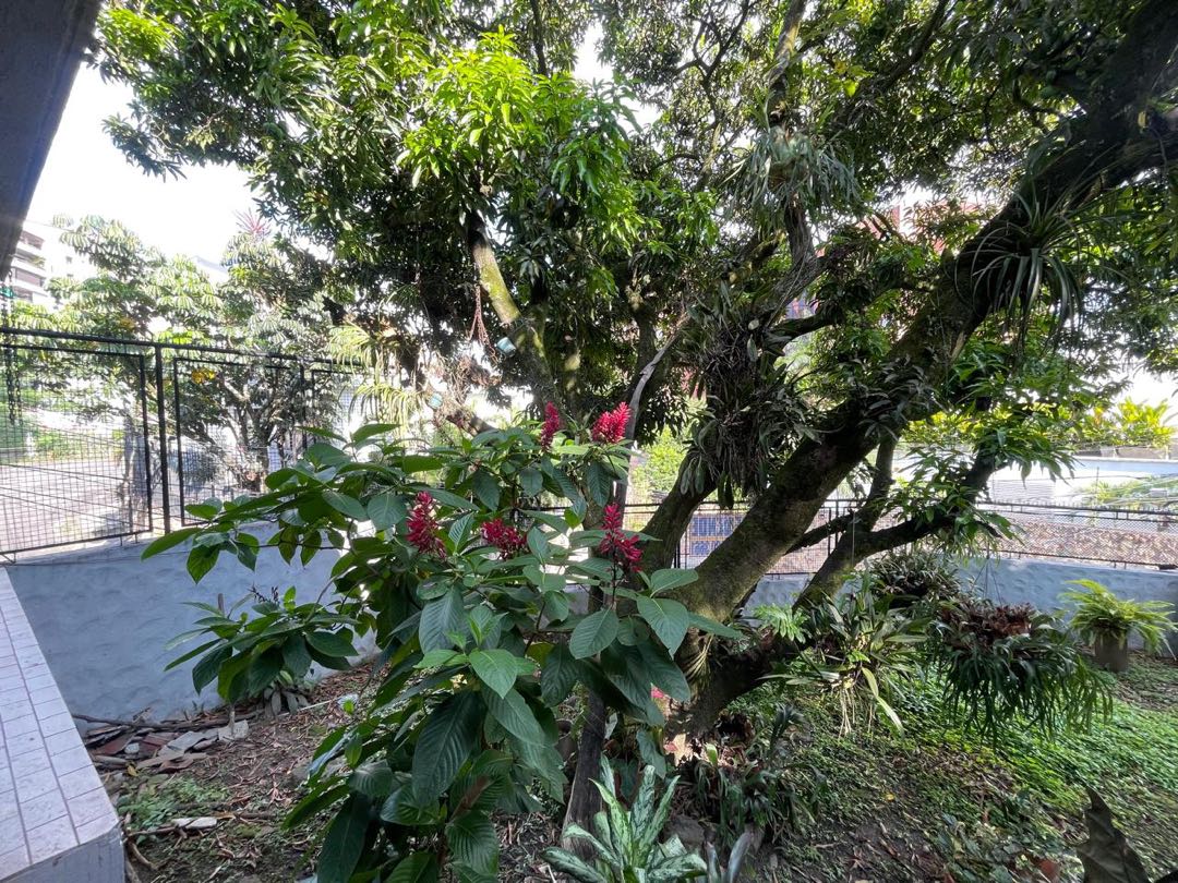 SE VENDE PRIVILEGIADO APARTAMENTO EN NORMANDÍA – OESTE DE CALI