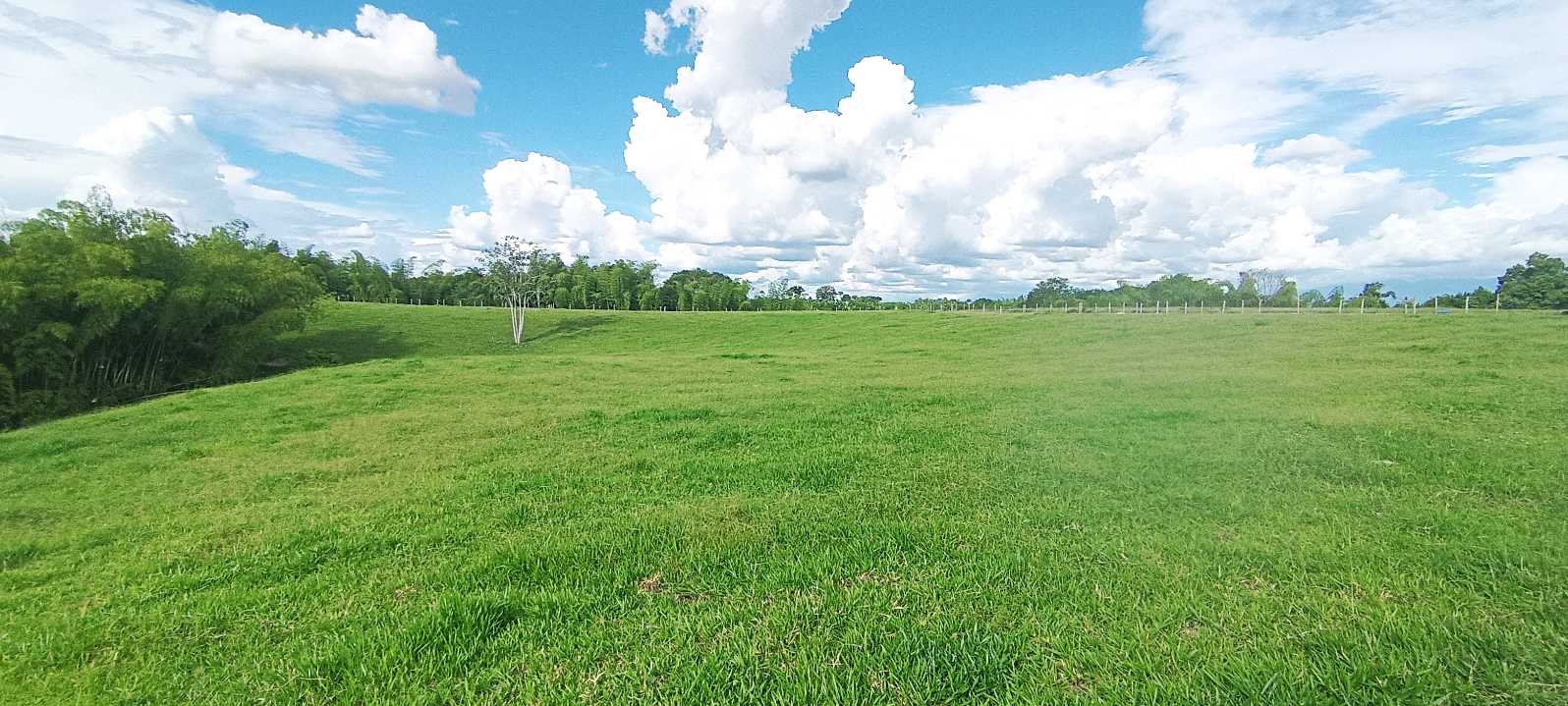 SE VENDEN LOTES 40.000 mt² c/u. AEROPUERTO TEBAIDA QUINDIO