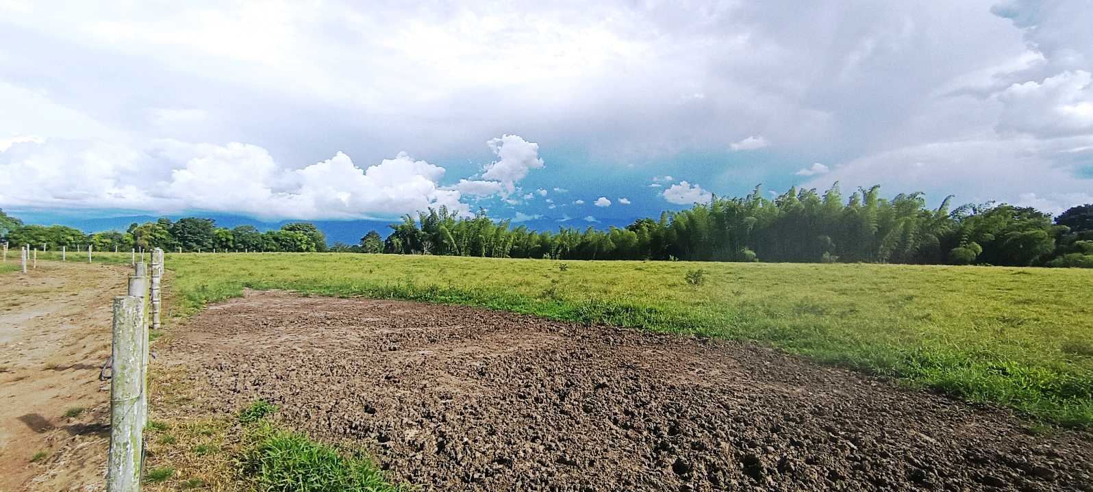 SE VENDEN LOTES 40.000 mt² c/u. AEROPUERTO TEBAIDA QUINDIO