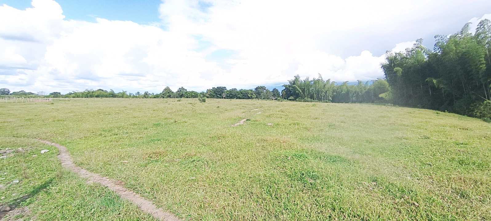 SE VENDEN LOTES 40.000 mt² c/u. AEROPUERTO TEBAIDA QUINDIO