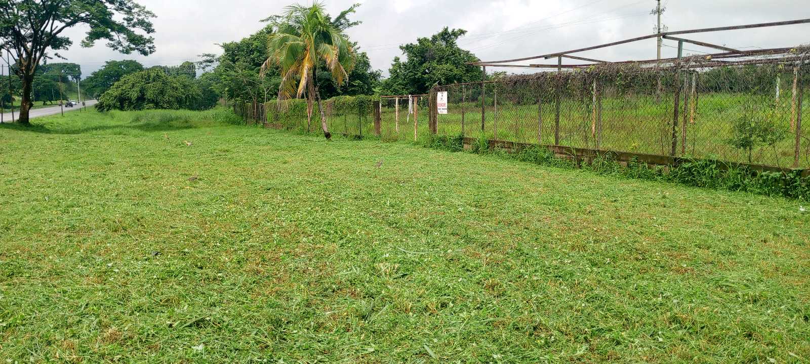 Terreno en venta Troncal 05 Tinaco TU-9290627 - Foto 2