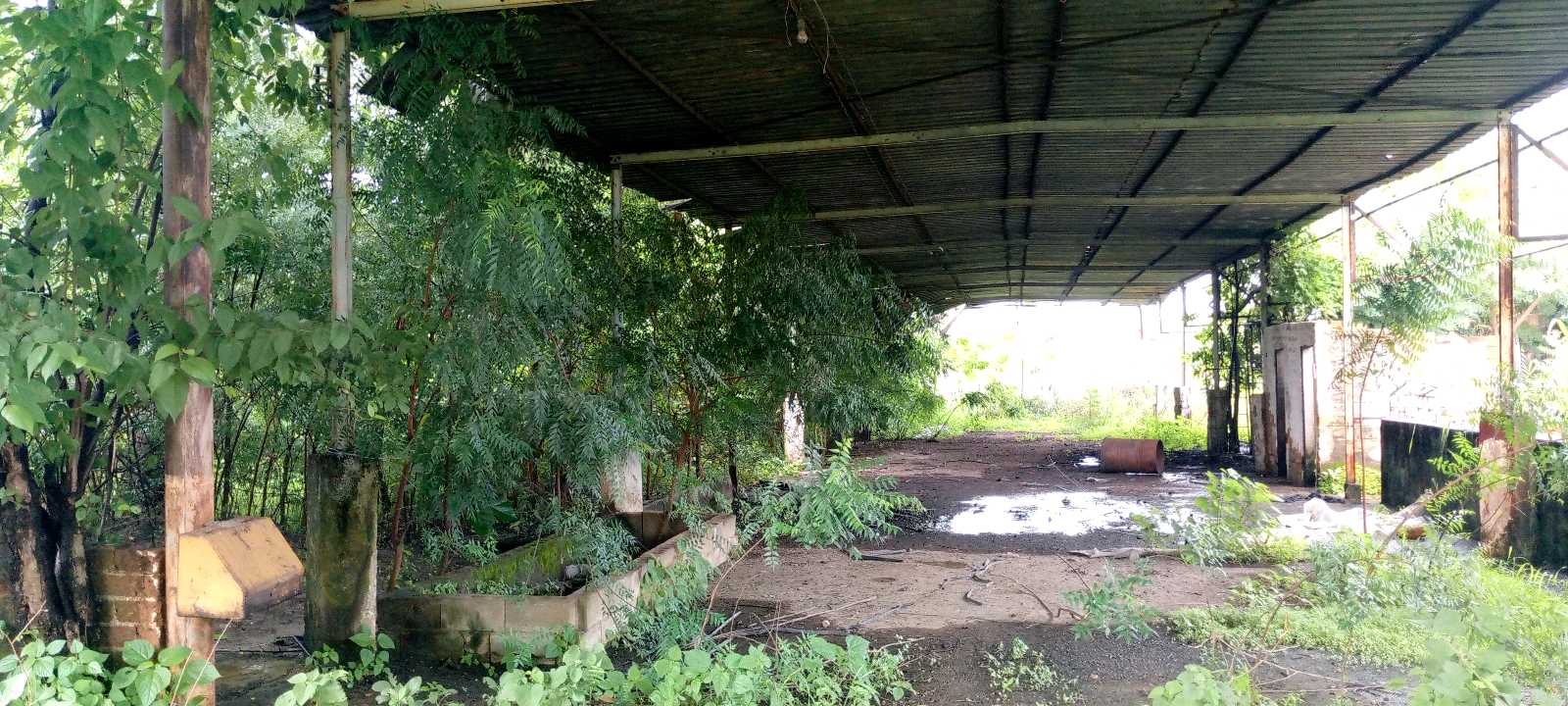 Terreno en venta Troncal 05 Tinaco TU-9290627 - Foto 5