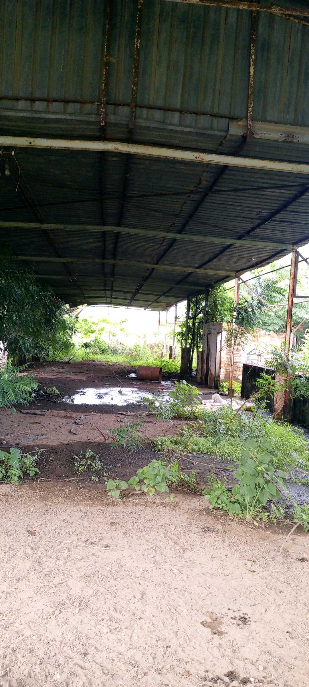 Terreno en venta Troncal 05 Tinaco TU-9290627 - Foto 8