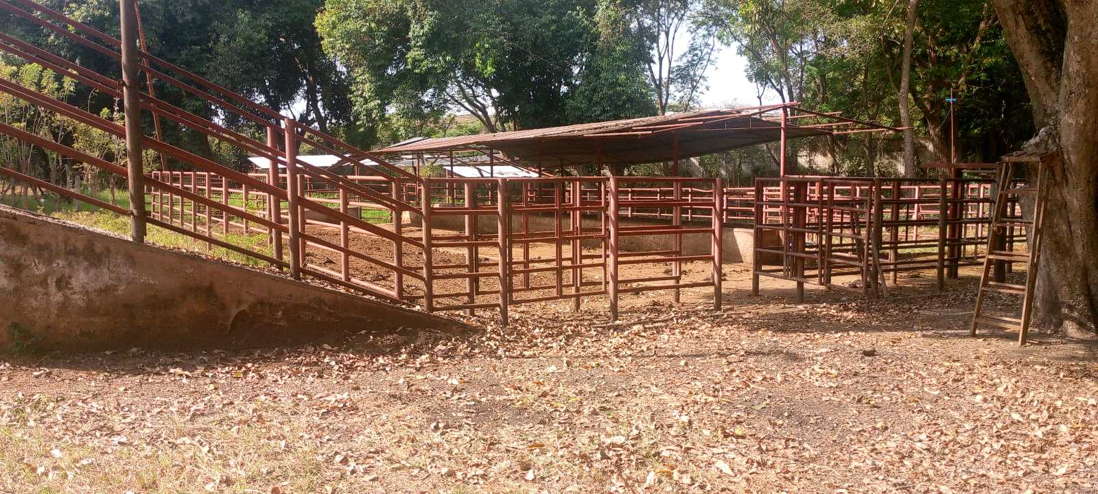 Terreno de 25 ha en venta Tinaquillo TU-9720485 - Foto 1
