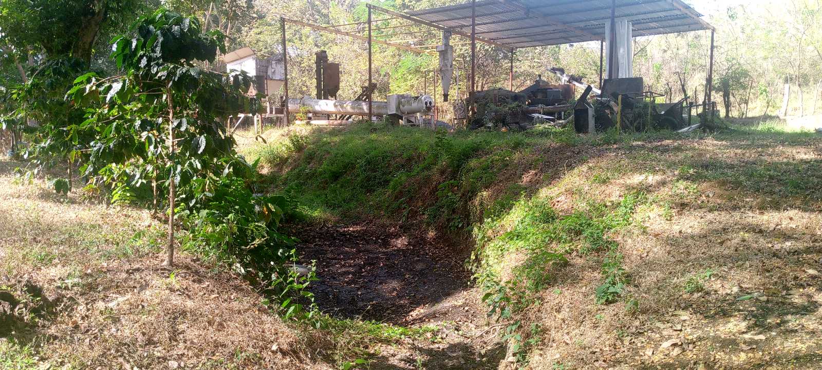 Terreno de 25 ha en venta Tinaquillo TU-9720485 - Foto 5