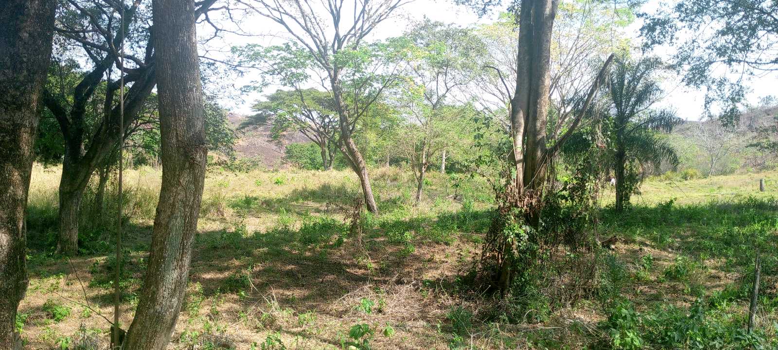 Terreno de 25 ha en venta Tinaquillo TU-9720485 - Foto 6
