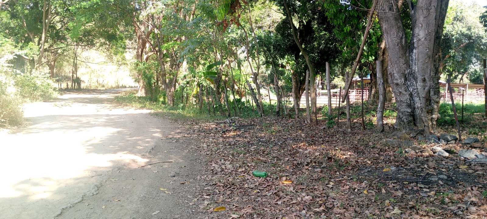Terreno de 25 ha en venta Tinaquillo TU-9720485 - Foto 7