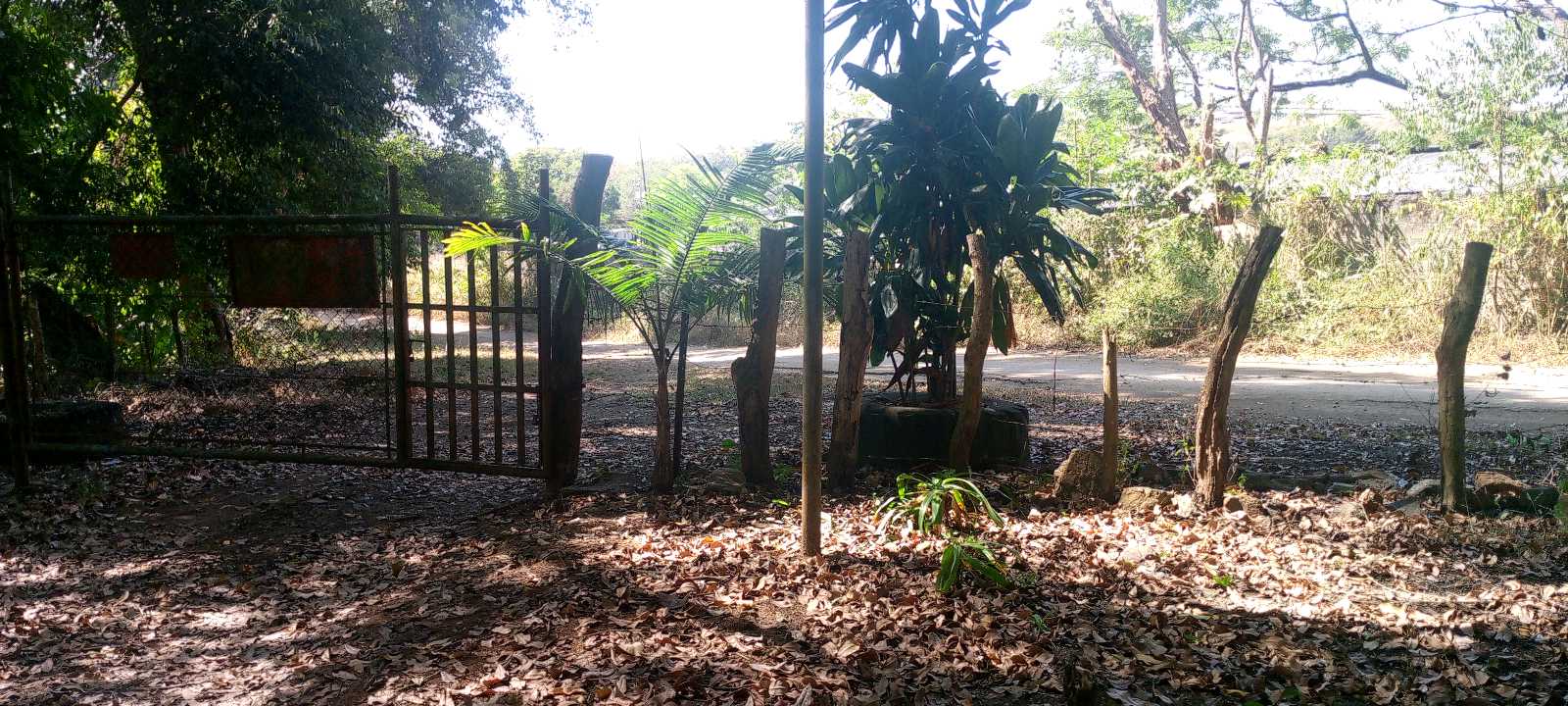 Terreno de 25 ha en venta Tinaquillo TU-9720485 - Foto 8