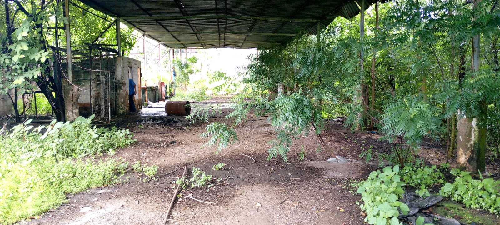 Terreno en alquiler Troncal 05 Tinaco TU-9293363 - Foto 6