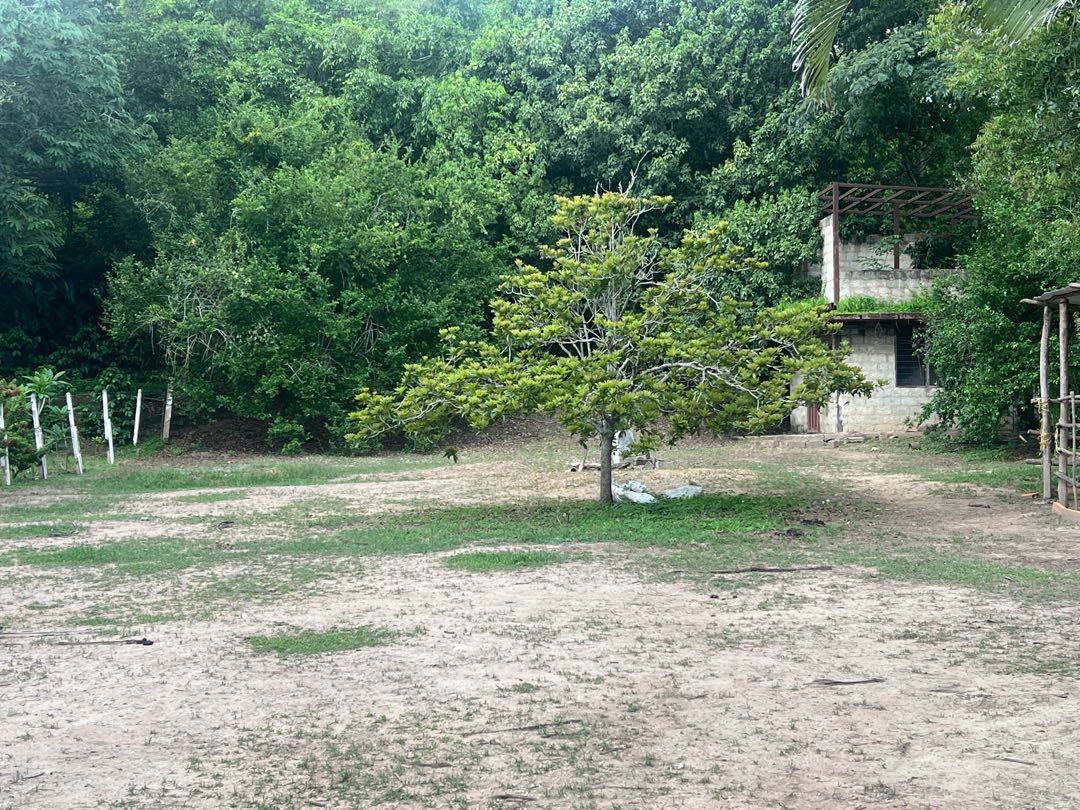 TERRENO EN VENTA AGUIRRE URB CAMPO CLARO  YB- 9101939 - Foto 3