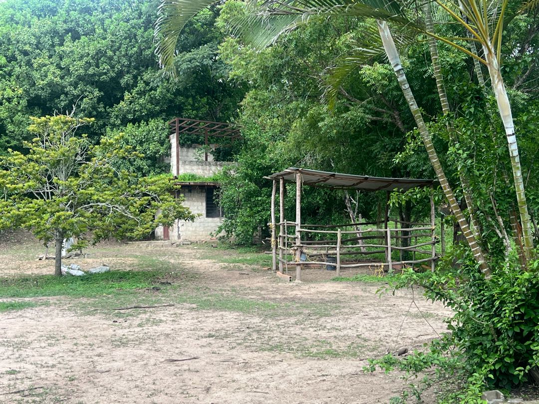TERRENO EN VENTA AGUIRRE URB CAMPO CLARO  YB- 9101939 - Foto 5