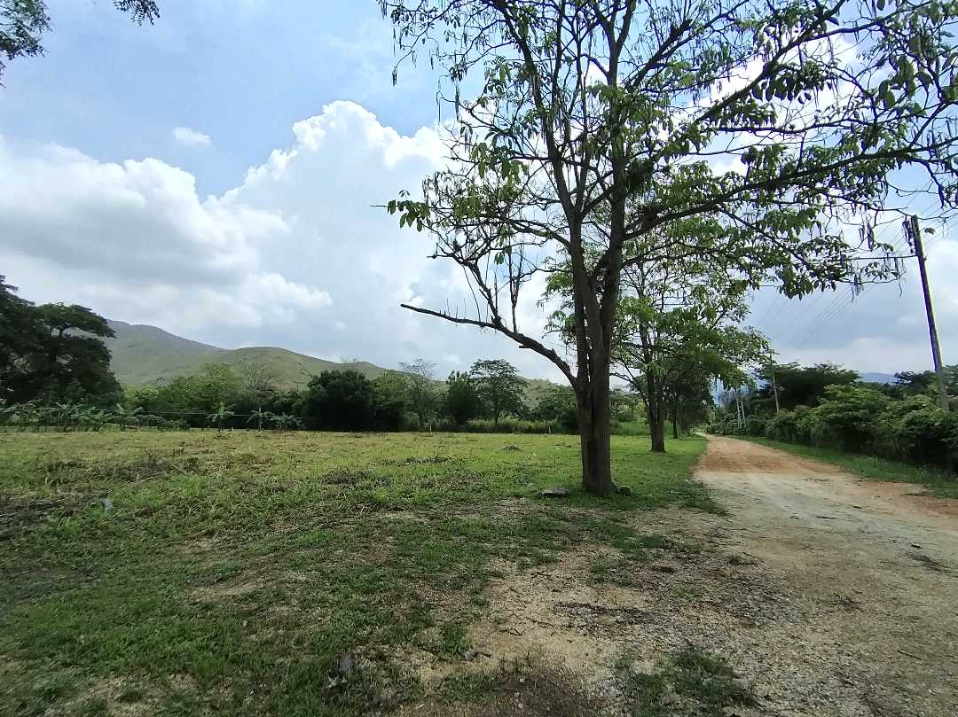 Terreno en Venta Campo Claro Aguirre Carabobo WC-9102930 - Foto 3
