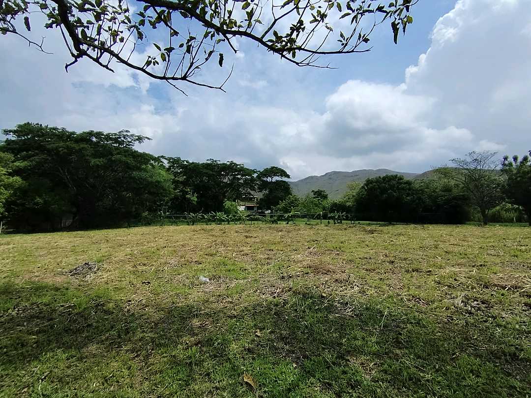 Terreno en Venta Campo Claro Aguirre Carabobo WC-9102930 - Foto 7