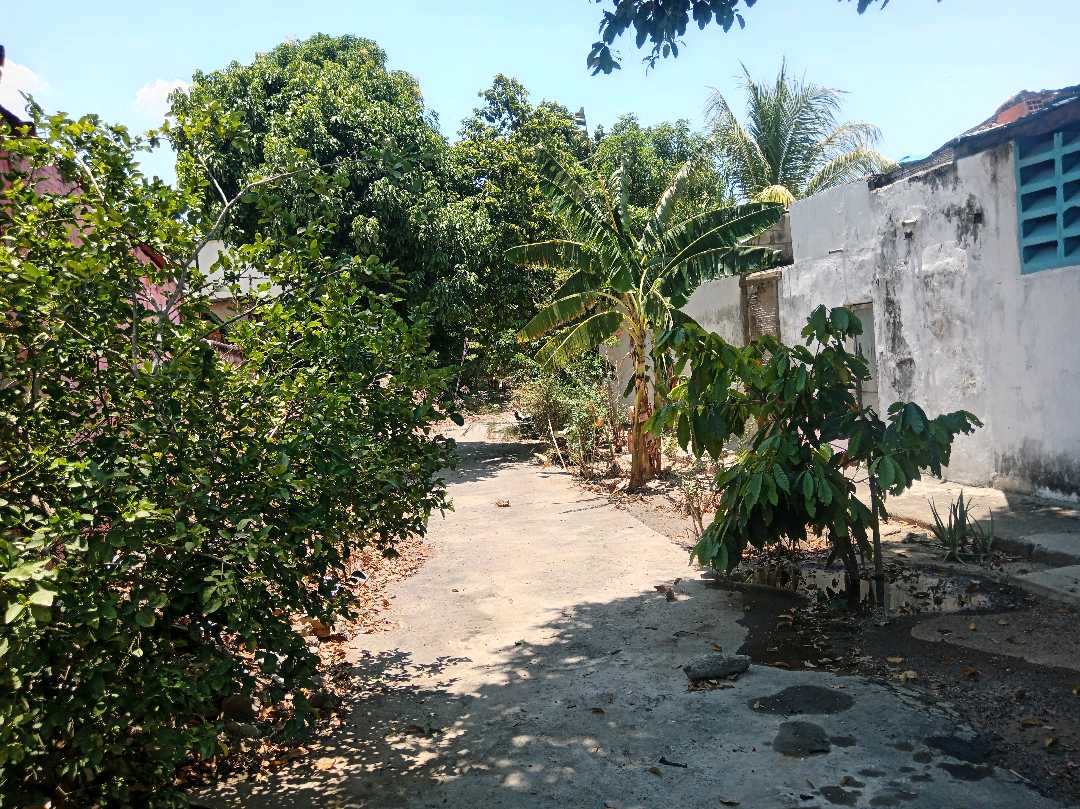 Terreno en Venta en el Centro de Mariara hs-9332497 - Foto 1