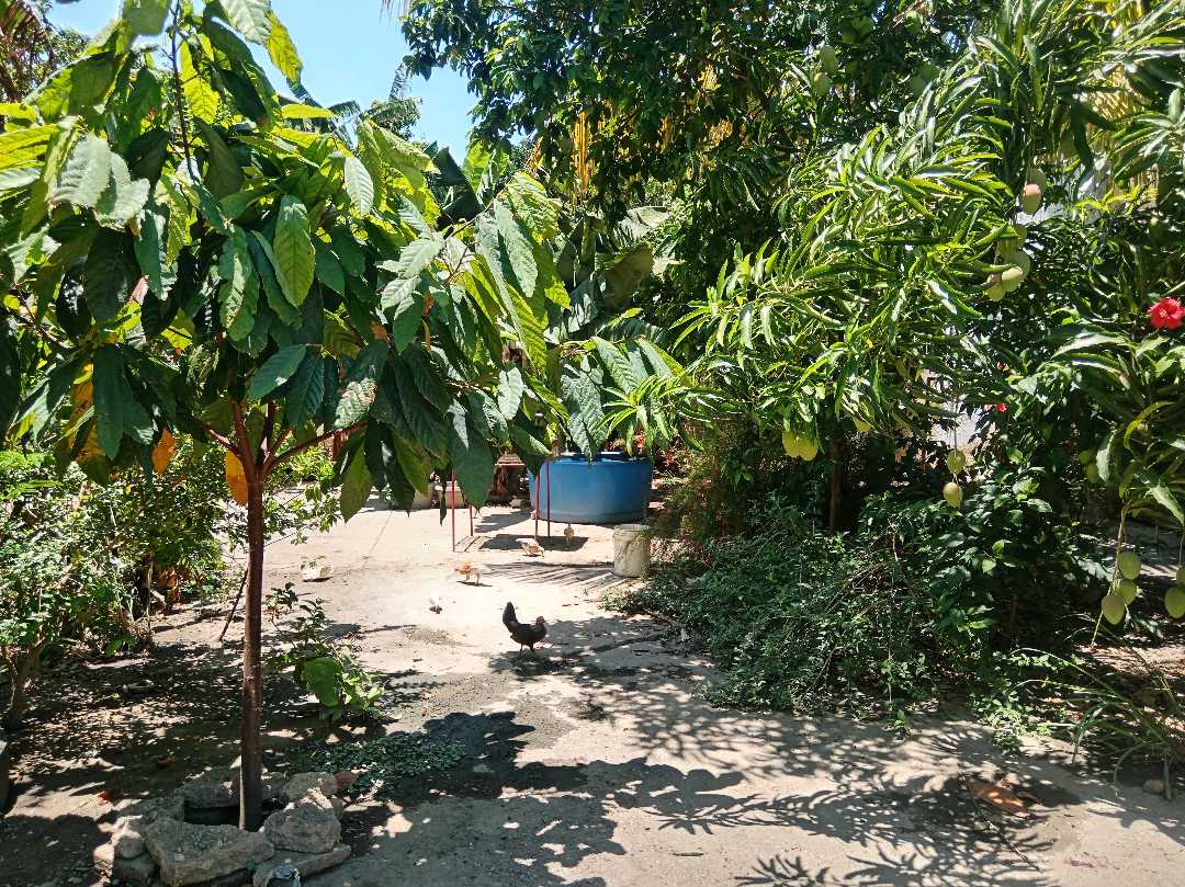 Terreno en Venta en el Centro de Mariara hs-9332497 - Foto 4