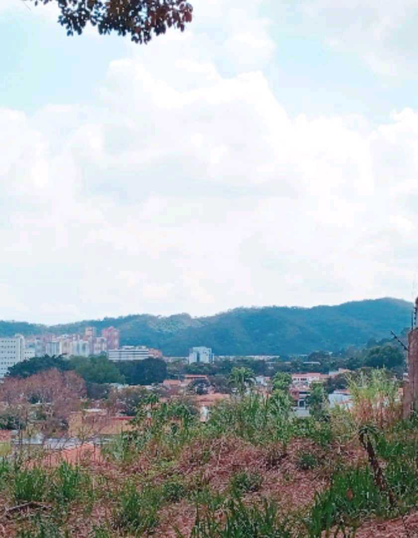 PARCELA EN VENTA EN EL PARRAL VALENCIA MVM-9538541 - Foto 1