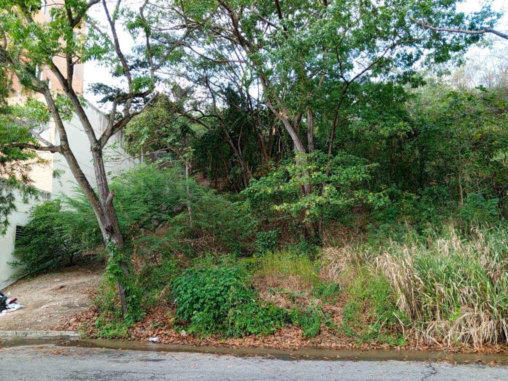 PARCELA EN VENTA EN EL PARRAL VALENCIA MVM-9538541 - Foto 3