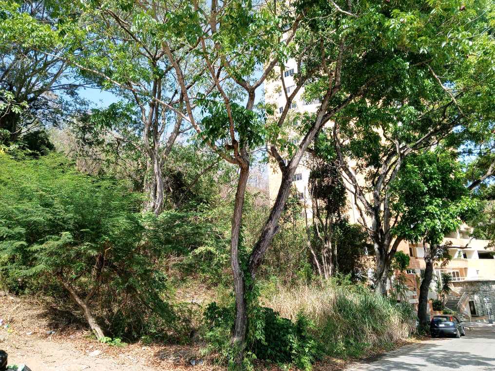 PARCELA EN VENTA EN EL PARRAL VALENCIA MVM-9538541 - Foto 5