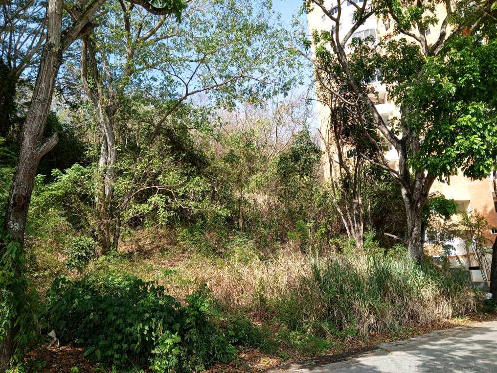 PARCELA EN VENTA EN EL PARRAL VALENCIA MVM-9538541 - Foto 7