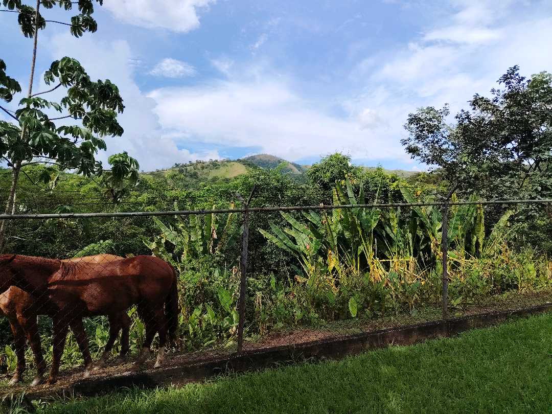 Terreno en venta en guataparo country club LV-9571115 - Foto 3
