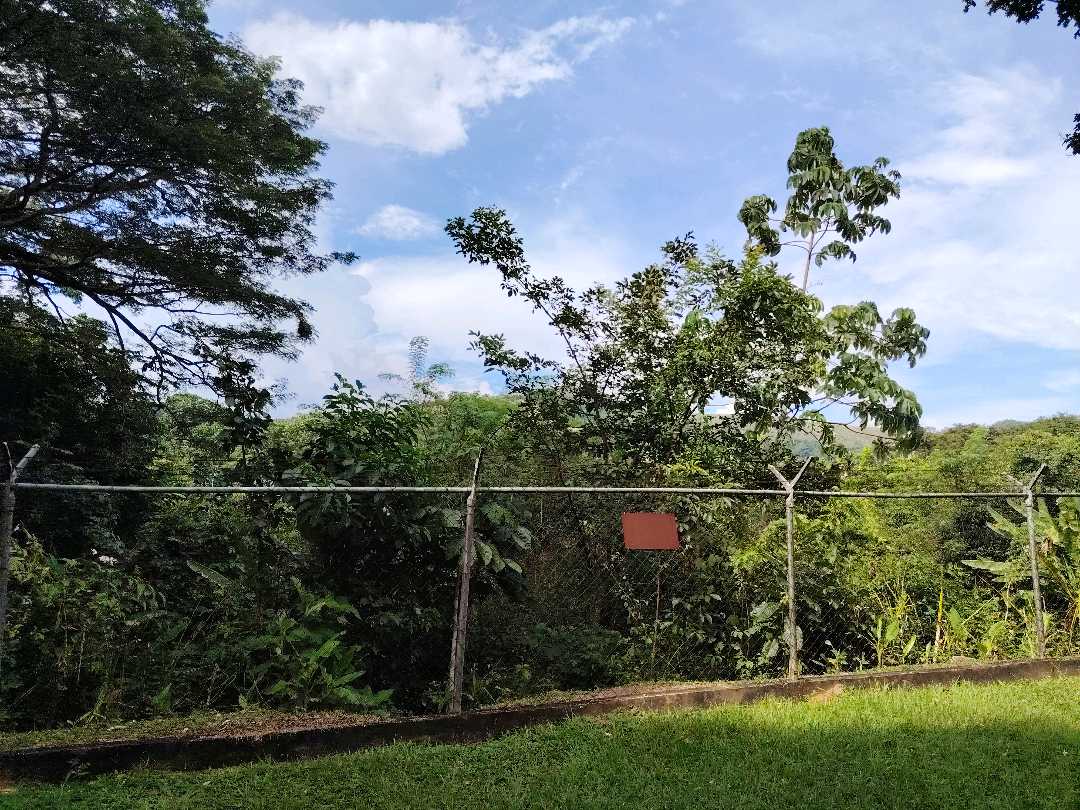 Terreno en venta en guataparo country club LV-9571115 - Foto 4