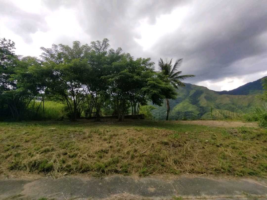 Terreno en venta en naguanagua la entrada OM-9755689 - Foto 8