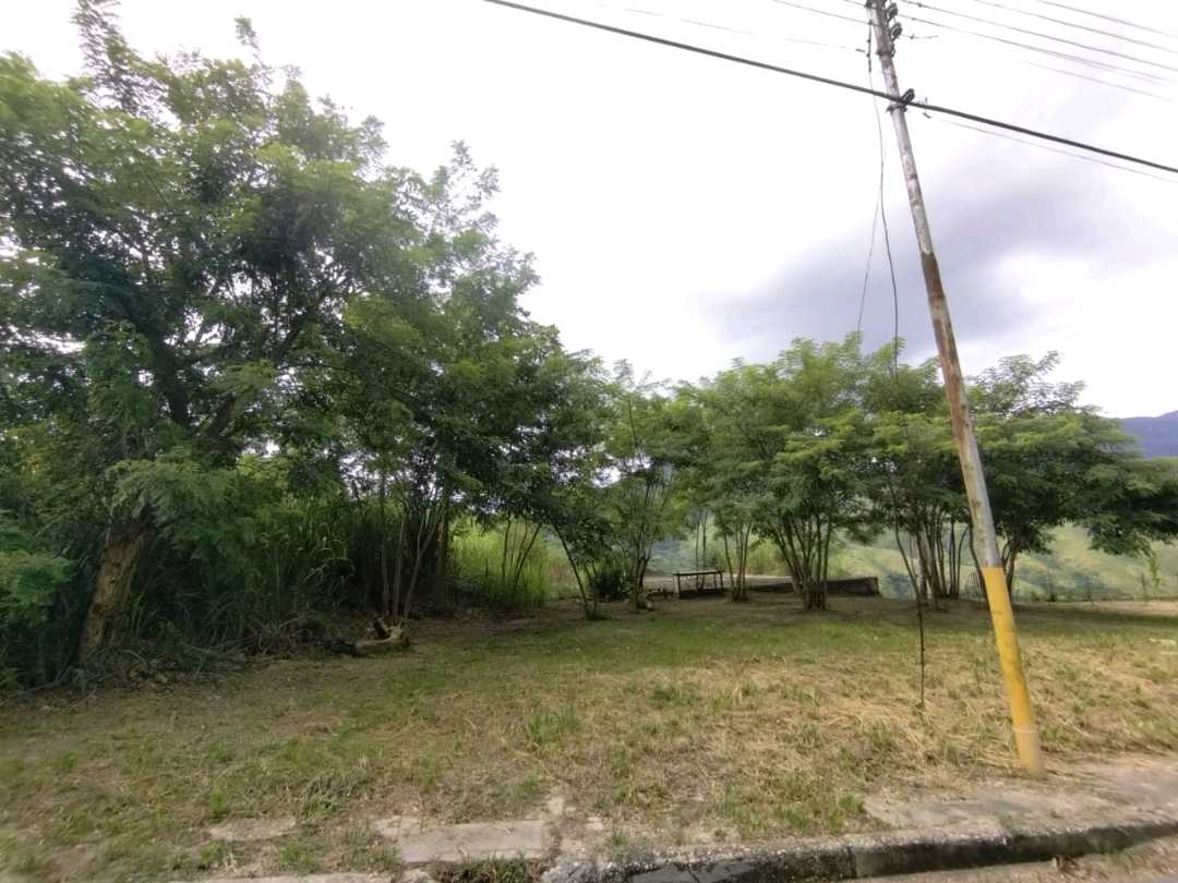 Terreno en venta en naguanagua la entrada OM-9755689 - Foto 10