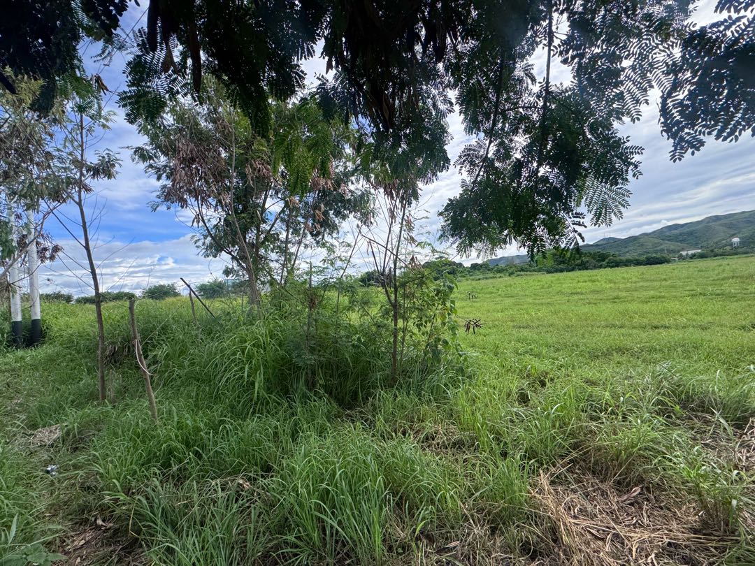 Terreno en Venta San Diego al lado de la   Bigott  MRR-9374207 - Foto 5