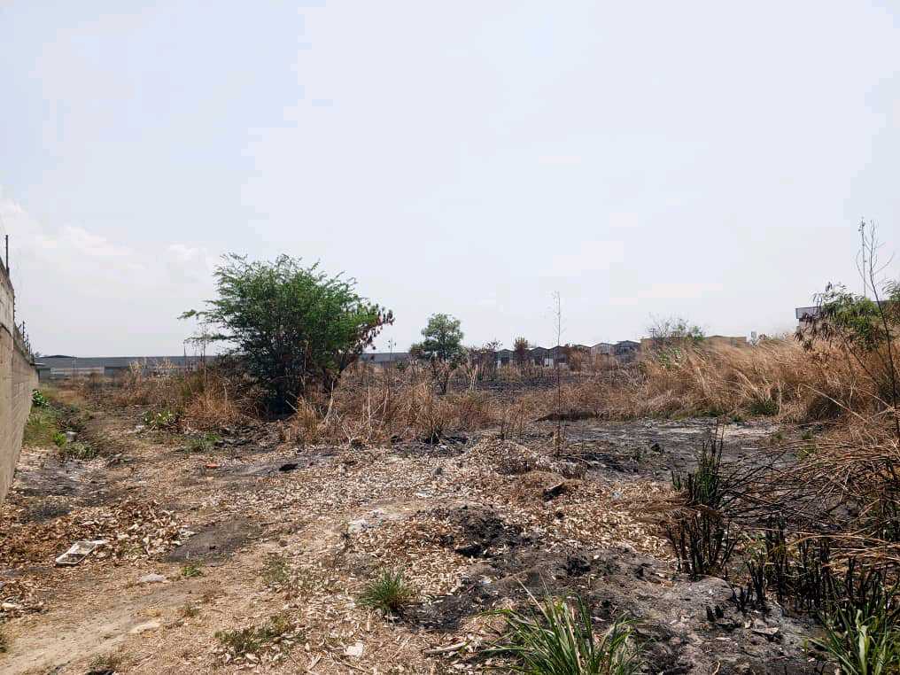 TERRENO INDUSTRIAL EN VENTA EN VALENCIA MVM-9507283 - Foto 3
