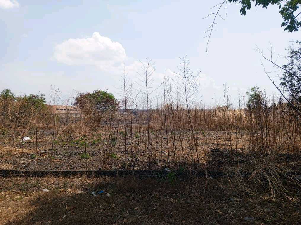 TERRENO INDUSTRIAL EN VENTA EN VALENCIA MVM-9507283 - Foto 4
