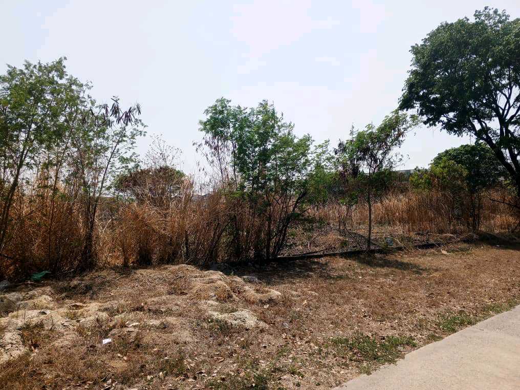 TERRENO INDUSTRIAL EN VENTA EN VALENCIA MVM-9507283 - Foto 6