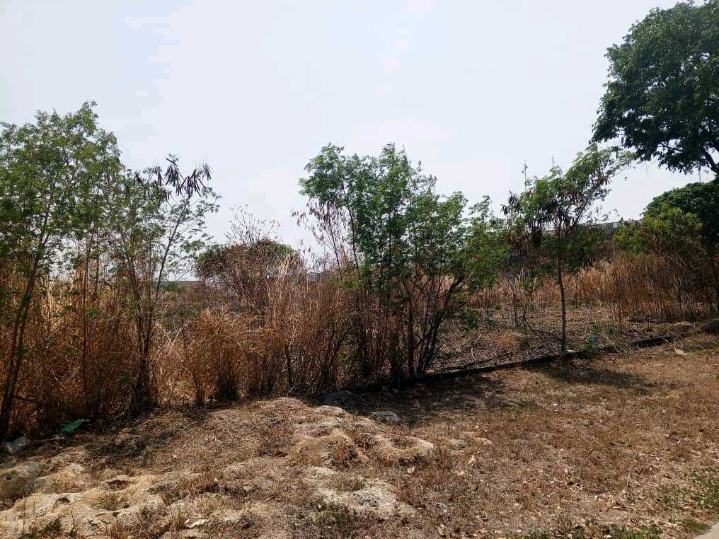 TERRENO INDUSTRIAL EN VENTA EN VALENCIA MVM-9507283 - Foto 7