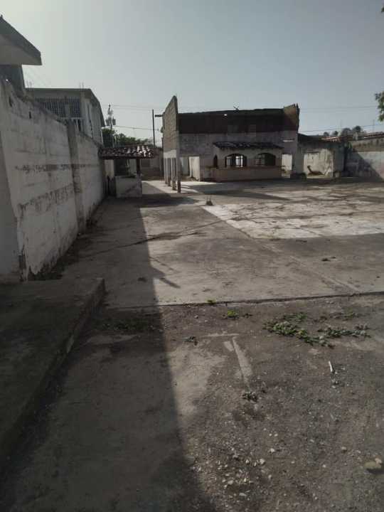Gallery 1