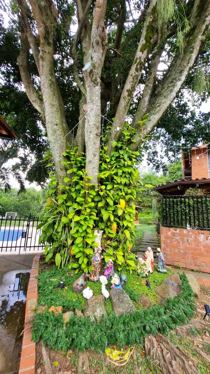 VENDO CASA EN CONDOMINIO FARALLONES DE PANCE  W9686137 ISA-L