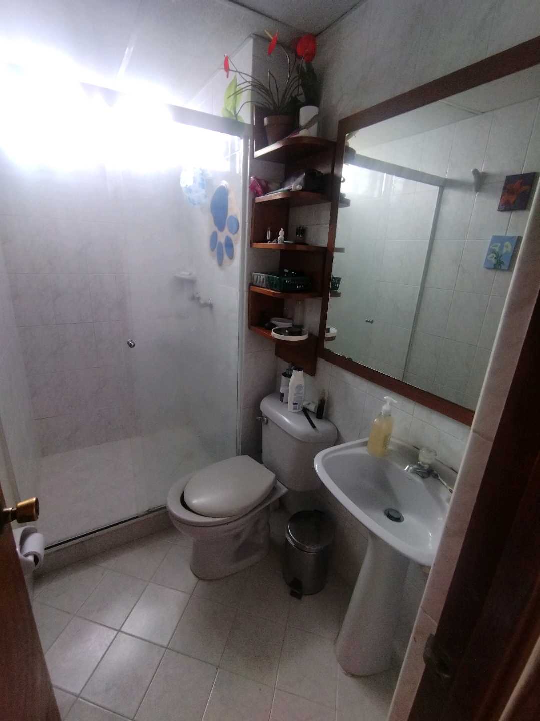 Miniatura 23