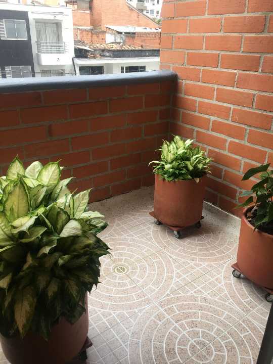 Apartamento en venta en Laureles - Medellín