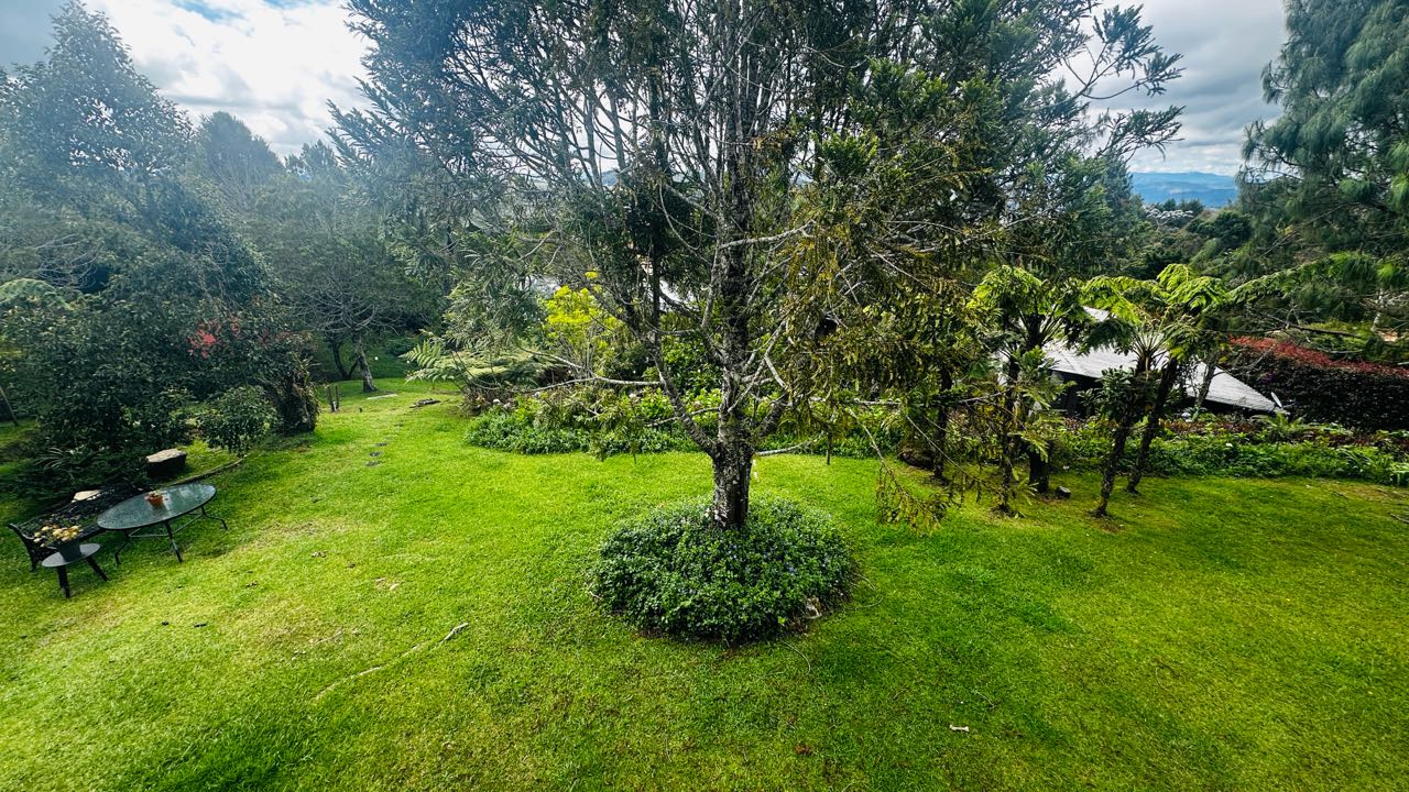 Venta de Casa en el alto de las palmas