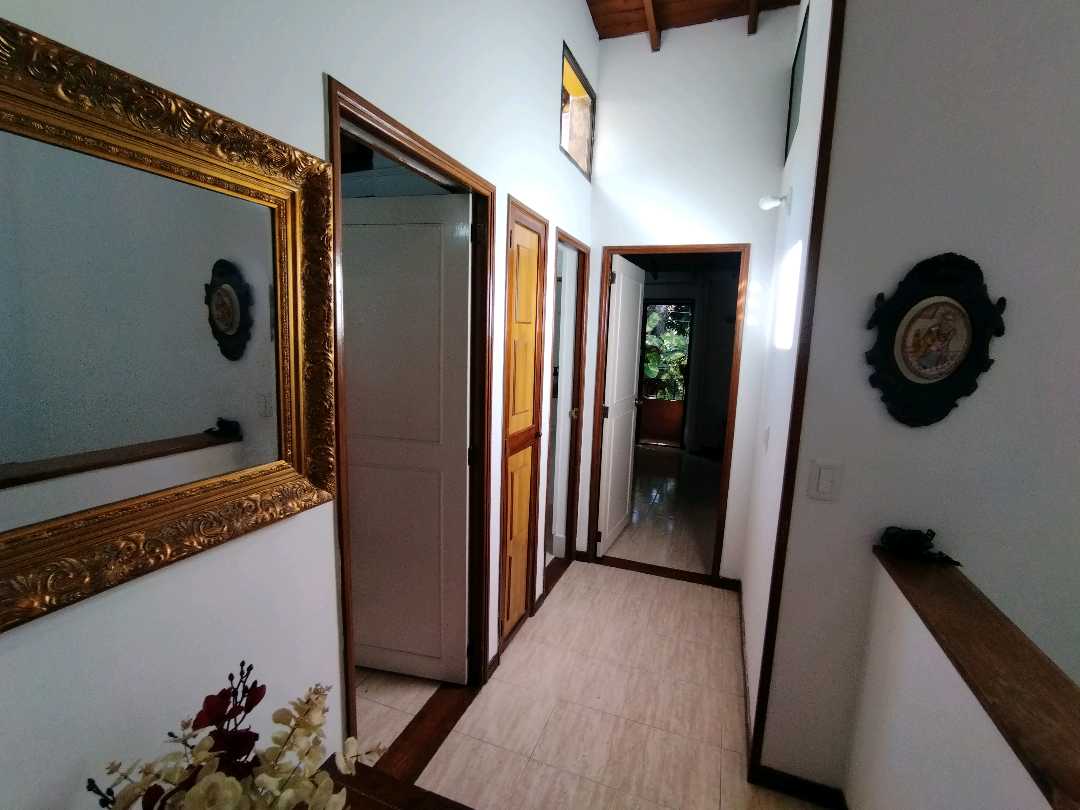 Miniatura 23