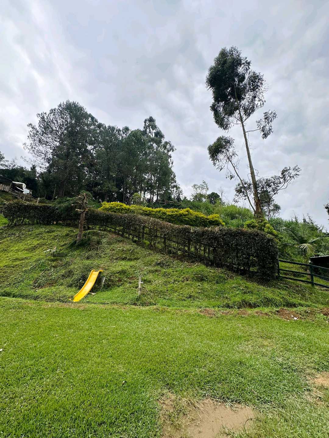 Venta de finca en el sector de guarne