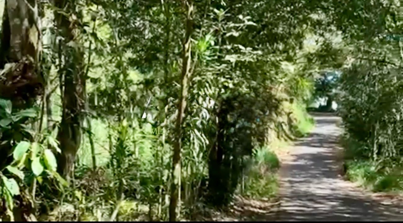 VENTA DE LOTE, ALAJUELA, ATENAS, SANTA EULALIA, CALLE VAINILLA