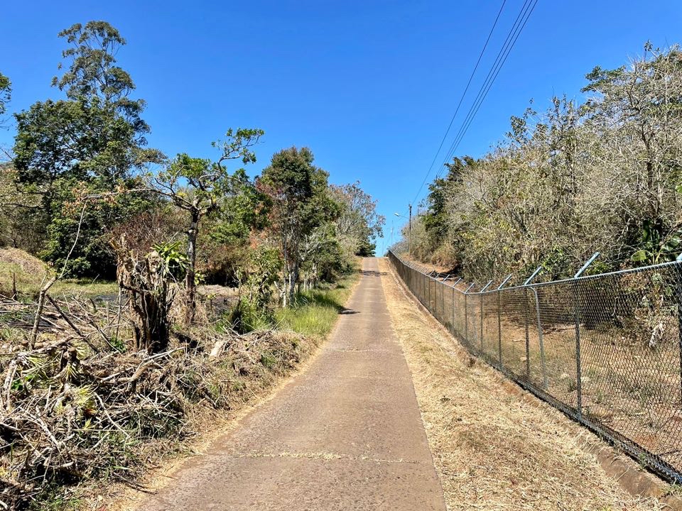 VENTA DE LOTE, ALAJUELA, SAN RAMÓN, COSTADO NORTE DE LA UCR