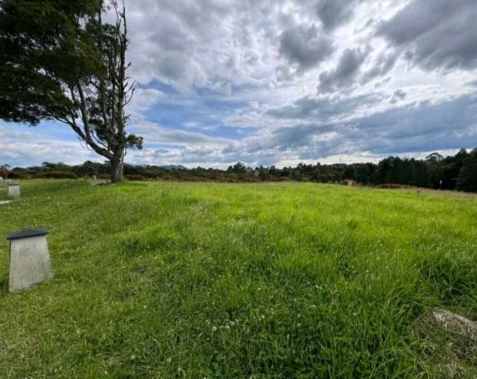 Venta De Lote Alto De Palmas Envigado