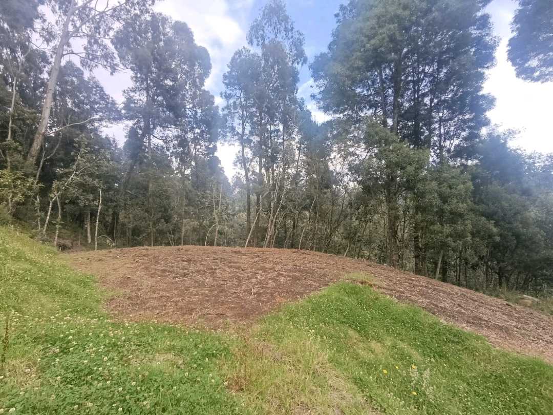Venta Lote Alto De Palmas Medellín